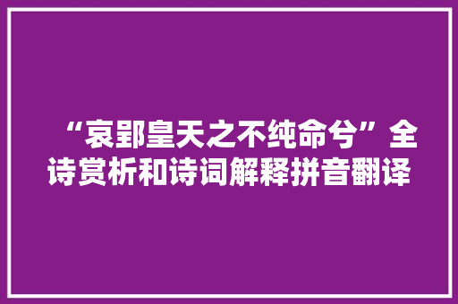 “哀郢皇天之不纯命兮”全诗赏析和诗词解释拼音翻译