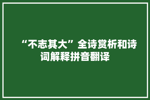 “不志其大”全诗赏析和诗词解释拼音翻译