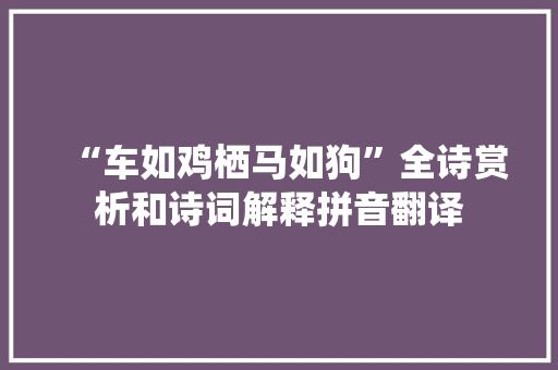 “车如鸡栖马如狗”全诗赏析和诗词解释拼音翻译