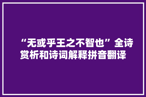 “无或乎王之不智也”全诗赏析和诗词解释拼音翻译