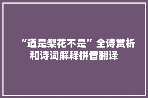 “道是梨花不是”全诗赏析和诗词解释拼音翻译
