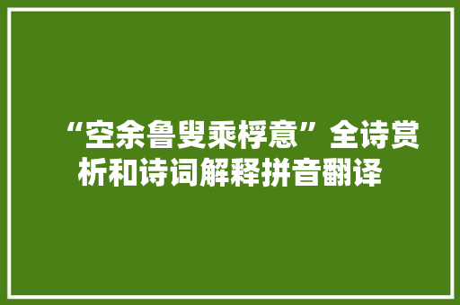 “空余鲁叟乘桴意”全诗赏析和诗词解释拼音翻译
