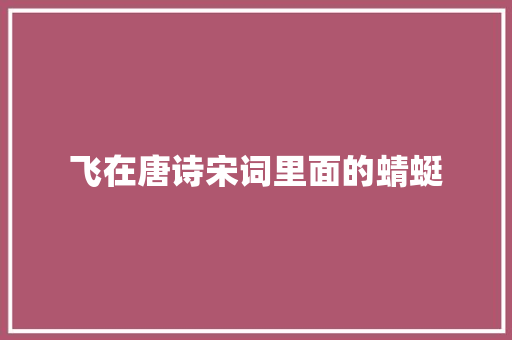 飞在唐诗宋词里面的蜻蜓