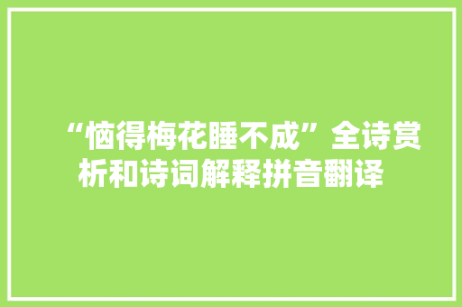 “恼得梅花睡不成”全诗赏析和诗词解释拼音翻译