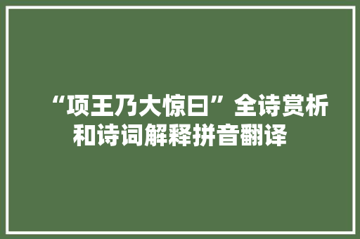 “项王乃大惊曰”全诗赏析和诗词解释拼音翻译