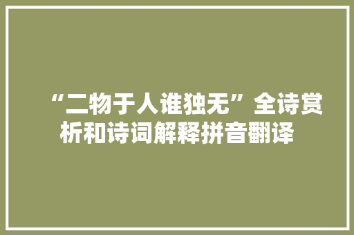 “二物于人谁独无”全诗赏析和诗词解释拼音翻译