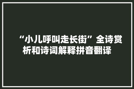 “小儿呼叫走长街”全诗赏析和诗词解释拼音翻译
