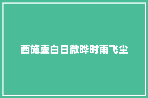 西施壶白日微晔时雨飞尘