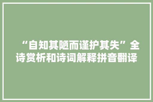 “自知其陋而谨护其失”全诗赏析和诗词解释拼音翻译