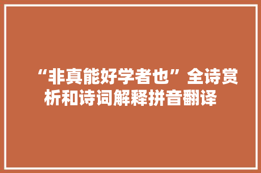 “非真能好学者也”全诗赏析和诗词解释拼音翻译
