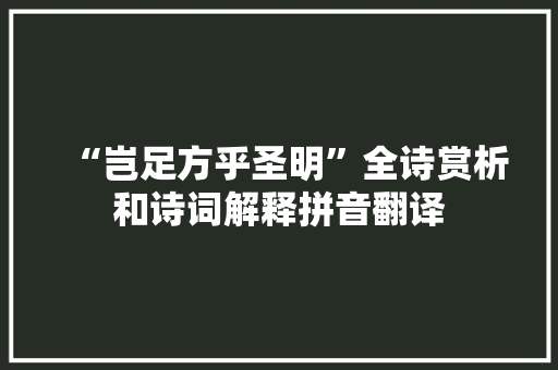 “岂足方乎圣明”全诗赏析和诗词解释拼音翻译