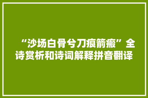 “沙场白骨兮刀痕箭瘢”全诗赏析和诗词解释拼音翻译