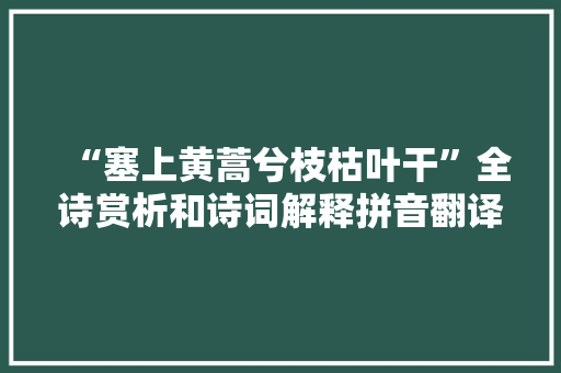 “塞上黄蒿兮枝枯叶干”全诗赏析和诗词解释拼音翻译