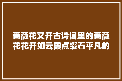 蔷薇花又开古诗词里的蔷薇花花开如云霞点缀着平凡的日子​