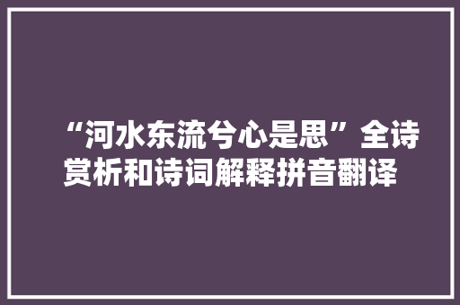 “河水东流兮心是思”全诗赏析和诗词解释拼音翻译