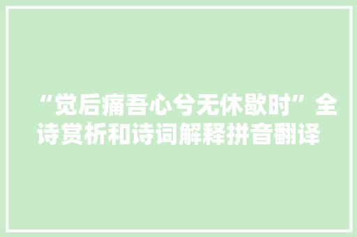 “觉后痛吾心兮无休歇时”全诗赏析和诗词解释拼音翻译