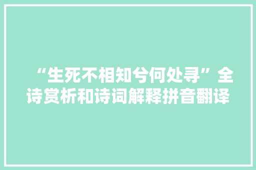 “生死不相知兮何处寻”全诗赏析和诗词解释拼音翻译