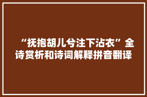 “抚抱胡儿兮注下沾衣”全诗赏析和诗词解释拼音翻译