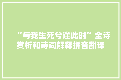 “与我生死兮逢此时”全诗赏析和诗词解释拼音翻译