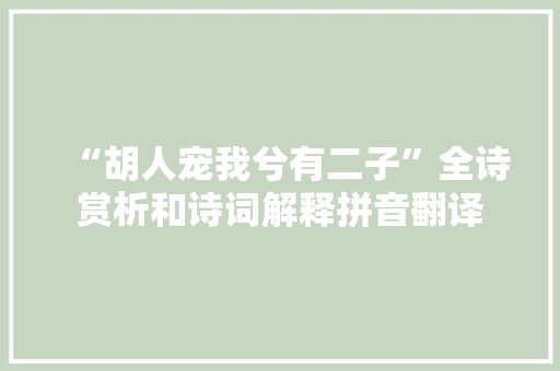 “胡人宠我兮有二子”全诗赏析和诗词解释拼音翻译