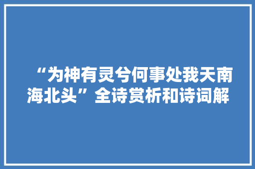 “为神有灵兮何事处我天南海北头”全诗赏析和诗词解释拼音翻译