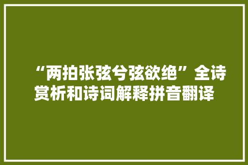 “两拍张弦兮弦欲绝”全诗赏析和诗词解释拼音翻译