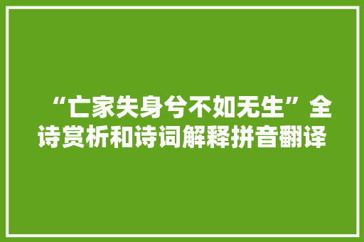 “亡家失身兮不如无生”全诗赏析和诗词解释拼音翻译