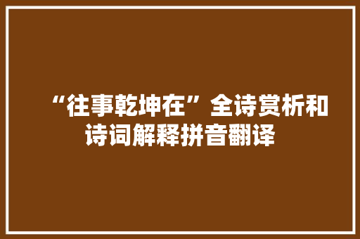 “往事乾坤在”全诗赏析和诗词解释拼音翻译