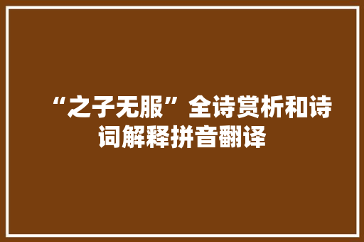 “之子无服”全诗赏析和诗词解释拼音翻译
