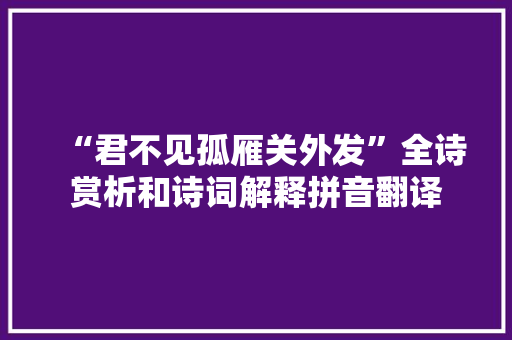 “君不见孤雁关外发”全诗赏析和诗词解释拼音翻译