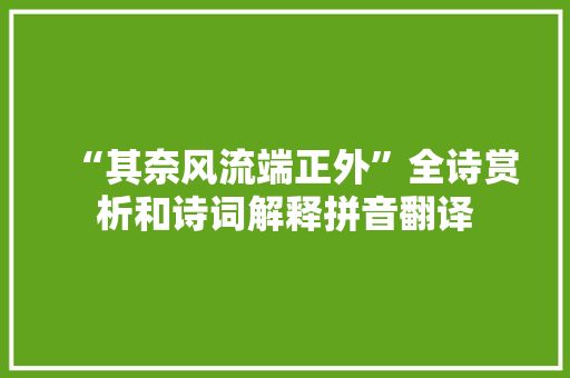 “其奈风流端正外”全诗赏析和诗词解释拼音翻译