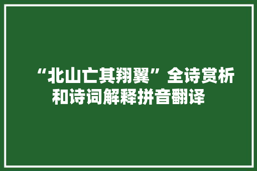 “北山亡其翔翼”全诗赏析和诗词解释拼音翻译
