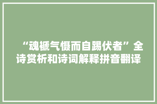 “魂褫气慑而自踢伏者”全诗赏析和诗词解释拼音翻译