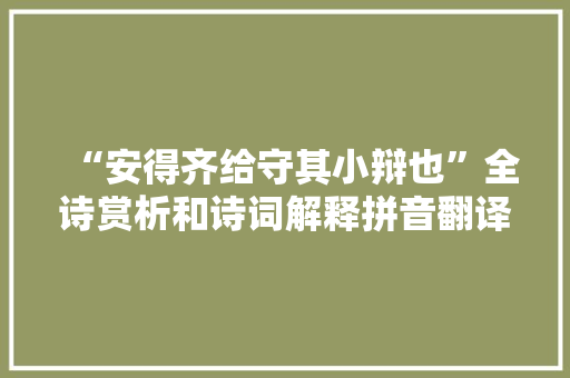 “安得齐给守其小辩也”全诗赏析和诗词解释拼音翻译