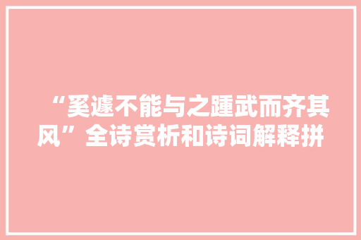 “奚遽不能与之踵武而齐其风”全诗赏析和诗词解释拼音翻译