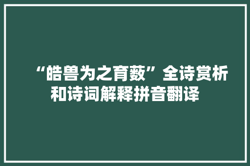 “皓兽为之育薮”全诗赏析和诗词解释拼音翻译