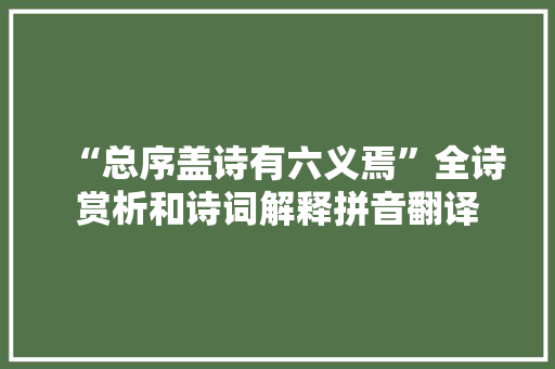 “总序盖诗有六义焉”全诗赏析和诗词解释拼音翻译