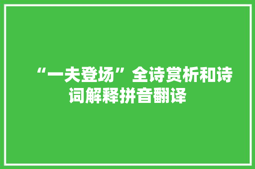 “一夫登场”全诗赏析和诗词解释拼音翻译