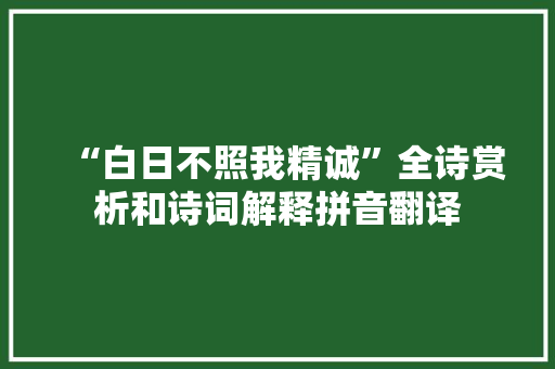 “白日不照我精诚”全诗赏析和诗词解释拼音翻译