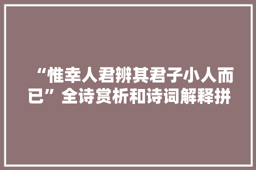 “惟幸人君辨其君子小人而已”全诗赏析和诗词解释拼音翻译
