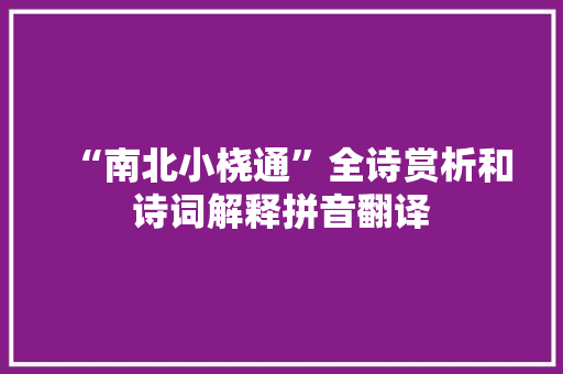 “南北小桡通”全诗赏析和诗词解释拼音翻译