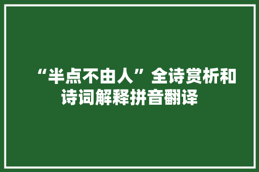 “半点不由人”全诗赏析和诗词解释拼音翻译