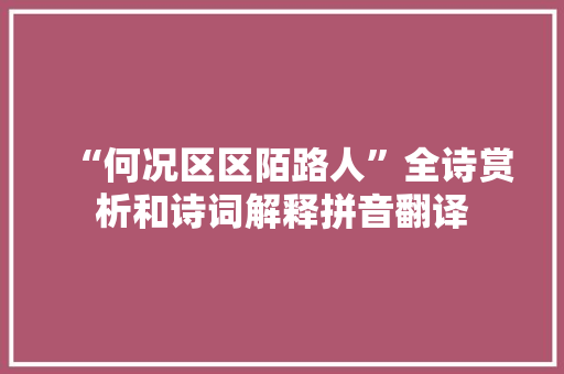“何况区区陌路人”全诗赏析和诗词解释拼音翻译