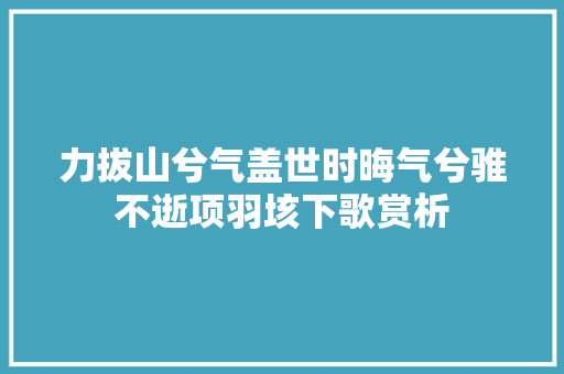 力拔山兮气盖世时晦气兮骓不逝项羽垓下歌赏析