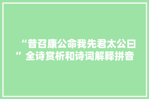 “昔召康公命我先君太公曰”全诗赏析和诗词解释拼音翻译