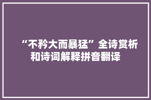 “不矜大而暴猛”全诗赏析和诗词解释拼音翻译