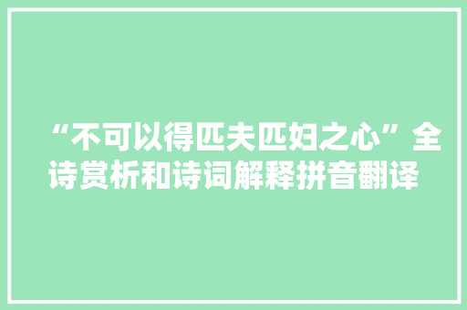 “不可以得匹夫匹妇之心”全诗赏析和诗词解释拼音翻译
