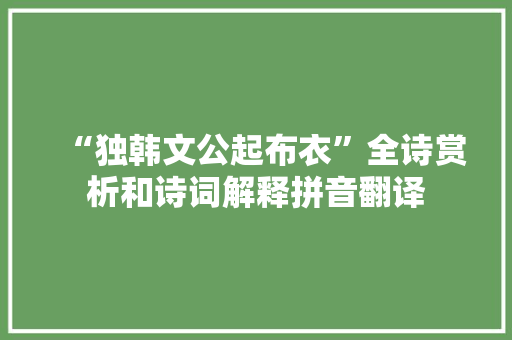 “独韩文公起布衣”全诗赏析和诗词解释拼音翻译