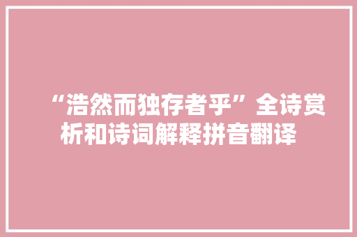 “浩然而独存者乎”全诗赏析和诗词解释拼音翻译