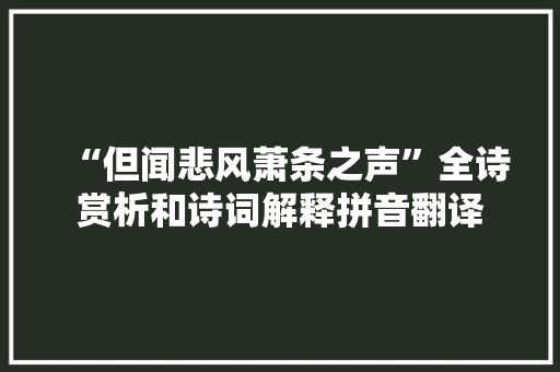 “但闻悲风萧条之声”全诗赏析和诗词解释拼音翻译